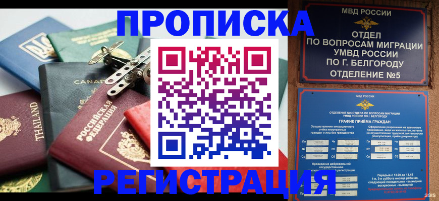 временная регистрация недорого в Струнино